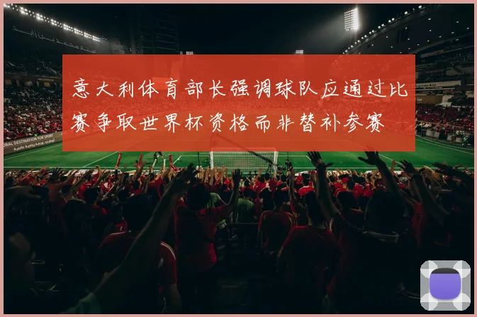 意大利体育部长强调球队应通过比赛争取世界杯资格而非替补参赛