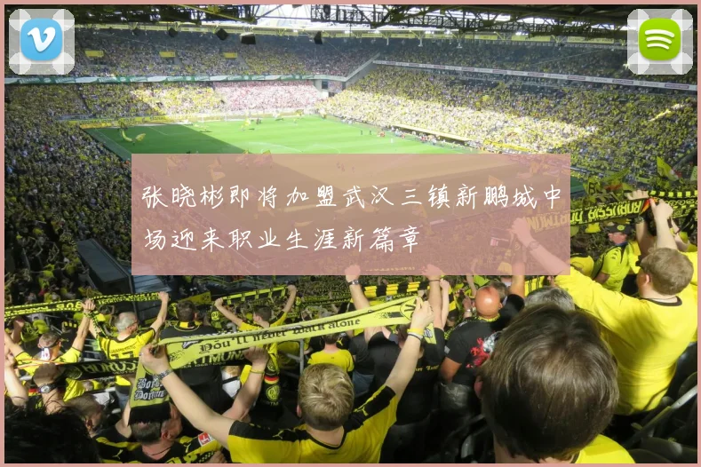 张晓彬即将加盟武汉三镇新鹏城中场迎来职业生涯新篇章