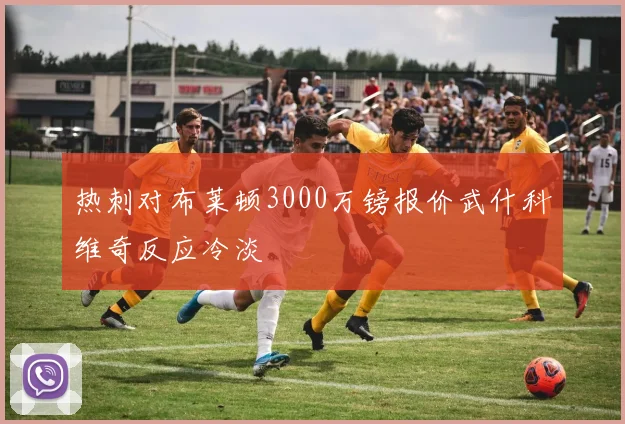 热刺对布莱顿3000万镑报价武什科维奇反应冷淡